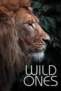 Wild Ones - S01:E10 - Micro Predators 