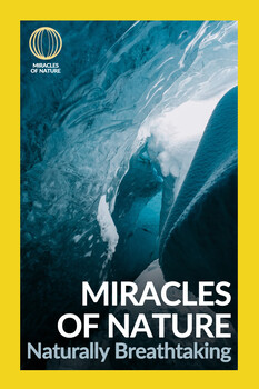 Miracles of Nature - S01:E01 - Naturally Breathtaking 