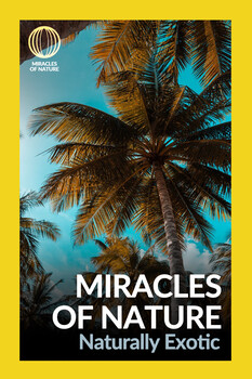 Miracles of Nature - S01:E04 - Naturally Exotic 