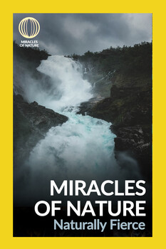 Miracles of Nature - S01:E05 - Naturally Fierce 