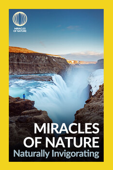 Miracles of Nature - S01:E09 - Naturally Invigorating 
