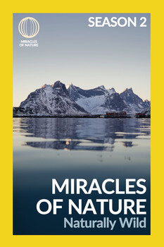 Miracles of Nature - S02:E01 - Naturally Wild 