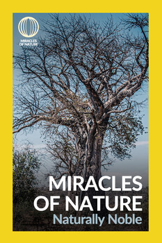 Miracles of Nature - S02:E02- Naturally Noble 
