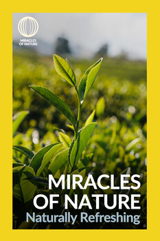 Miracles of Nature - S02:E12 - Naturally Refreshing 