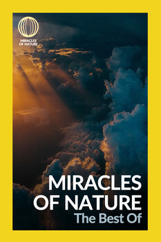 Miracles of Nature - S02:E13 - The Best Of 