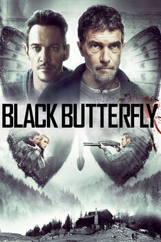 Black Butterfly 