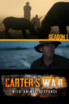 Carter's W.A.R. - S01:E06 - The Zambezi River Mystery 