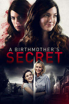 A Birthmother's Secret 