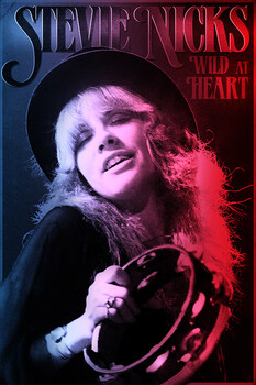 Stevie Nicks: Wild at Heart 