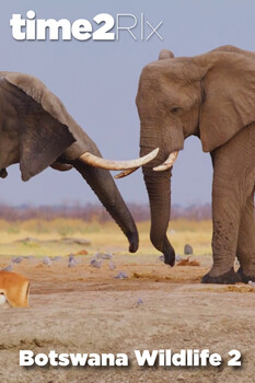 time2Rlx Wildlife - S01:E08 - Botswana Wildlife 2 