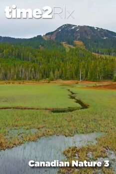 time2Rlx Landscape - S01:E27 - கனடாவின் யானை ஆய்வு 