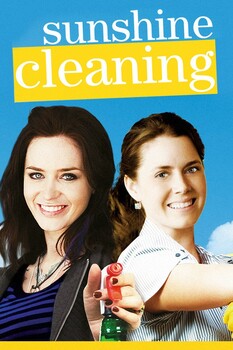 Sunshine Cleaning  