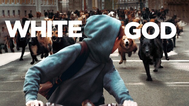 White God 