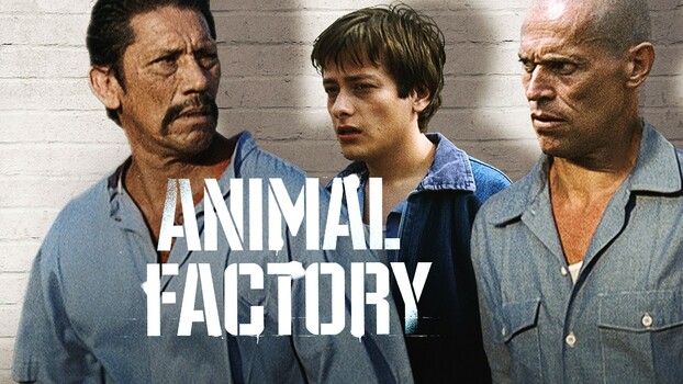 Animal Factory 