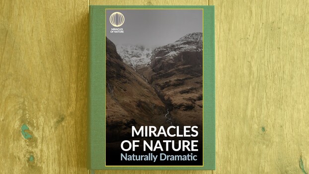 Miracles of Nature - S01:E02 - Naturally Dramatic 