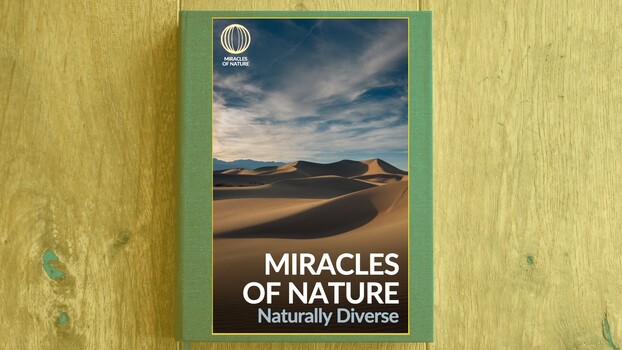 Miracles of Nature - S01:E03 - Naturally Diverse 