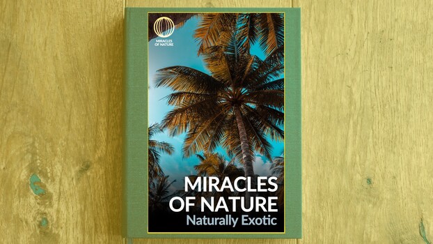 Miracles of Nature - S01:E04 - Naturally Exotic 