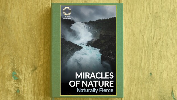 Miracles of Nature - S01:E05 - Naturally Fierce 
