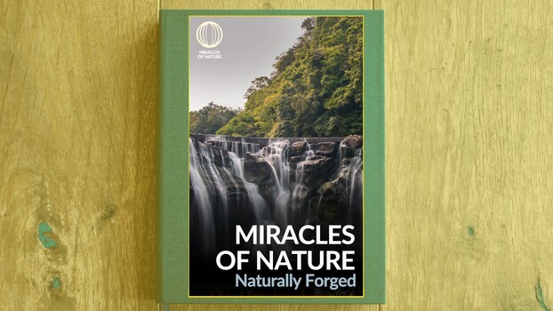 Miracles of Nature - S01:E06 - Naturally Forged 