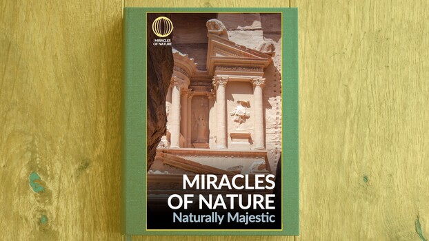 Miracles of Nature - S01:E07 - Naturally Majestic 
