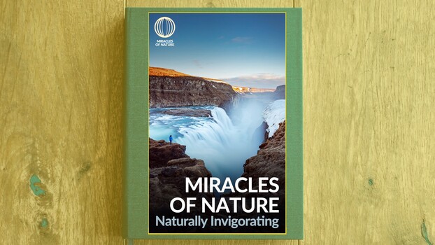 Miracles of Nature - S01:E09 - Naturally Invigorating 