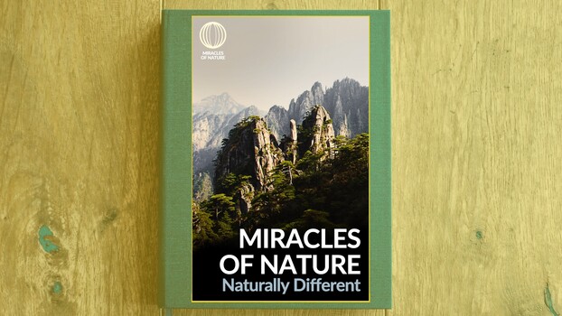 Miracles of Nature - S01:E11 - Naturally Different 