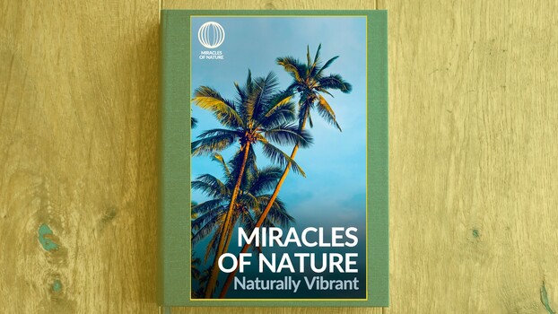 Miracles of Nature - S01:E12 - Naturally Vibrant 