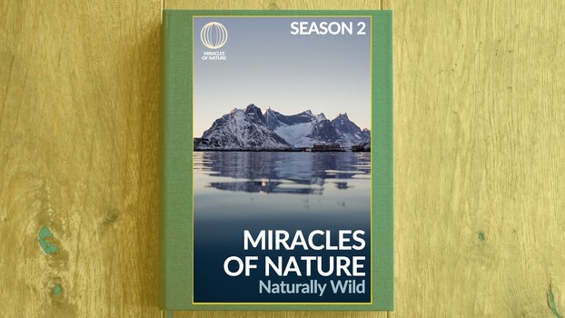 Wunder der Natur - S02:E01 - Natürlich wild 