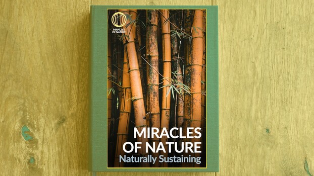 Miracles of Nature - S02:E03 - Naturally Sustaining 