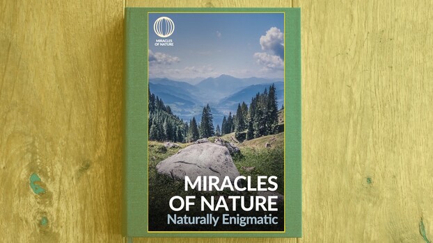 Miracles of Nature - S02:E05 - Naturally Enigmatic 