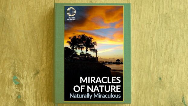 Miracles of Nature - S02:E06 - Naturally Miraculous 