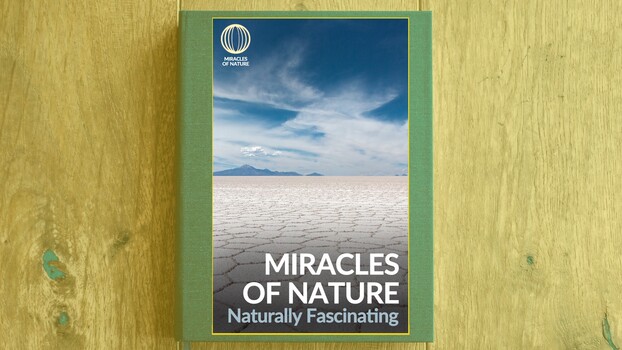 Miracles of Nature - S02:E07 - Naturally Fascinating 