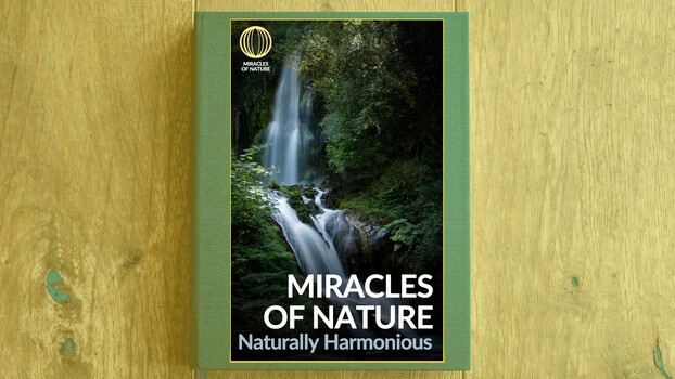 Wunder der Natur - S02:E08 - Natürlich harmonisch 