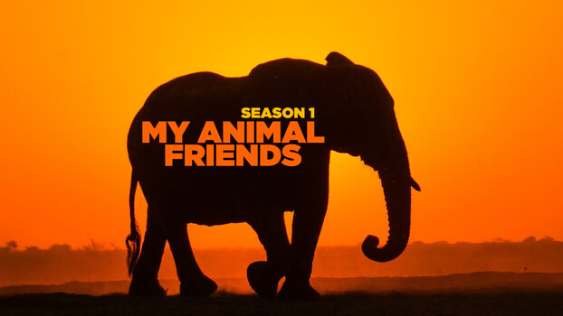 My Animal Friends - S01:E24 - My Friends From Water 