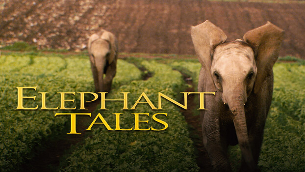 Elephant Tales 