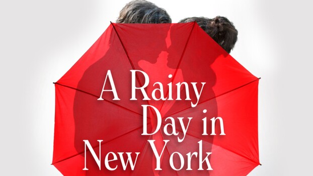 A Rainy Day in New York 