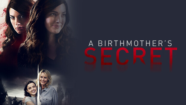 A Birthmother's Secret 