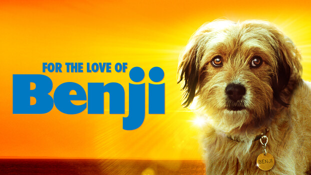 For the Love of Benji 