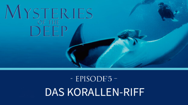 Mysteries of the Deep - Das Korallen-Riff 
