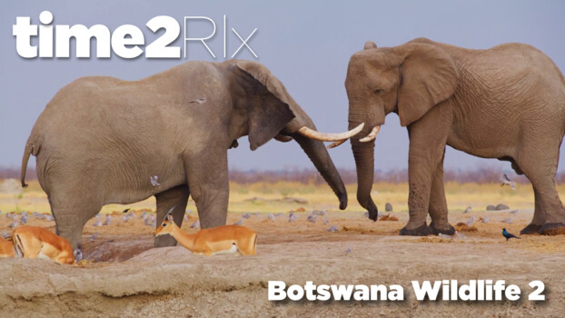 time2Rlx Wildlife - S01:E08 - Botswana Wildlife 2 