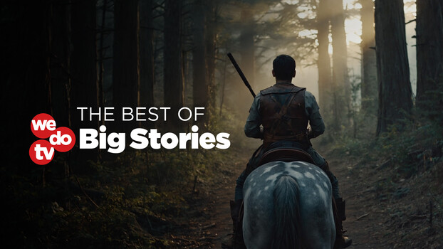 Big Stories 