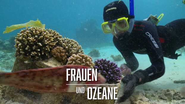 Frauen und Ozeane - S01:E01 - Verena Schoepf, Super-Korallen 