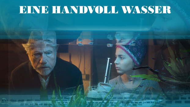 A Handful of Water 