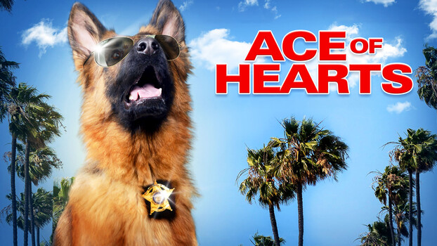 Ace of Hearts 