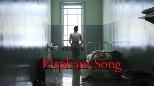 Elephant Song 