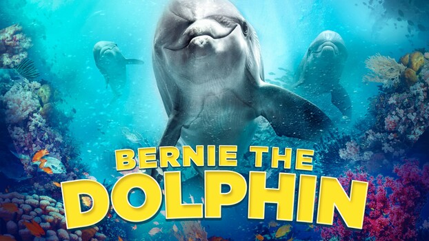 Bernie the Dolphin 