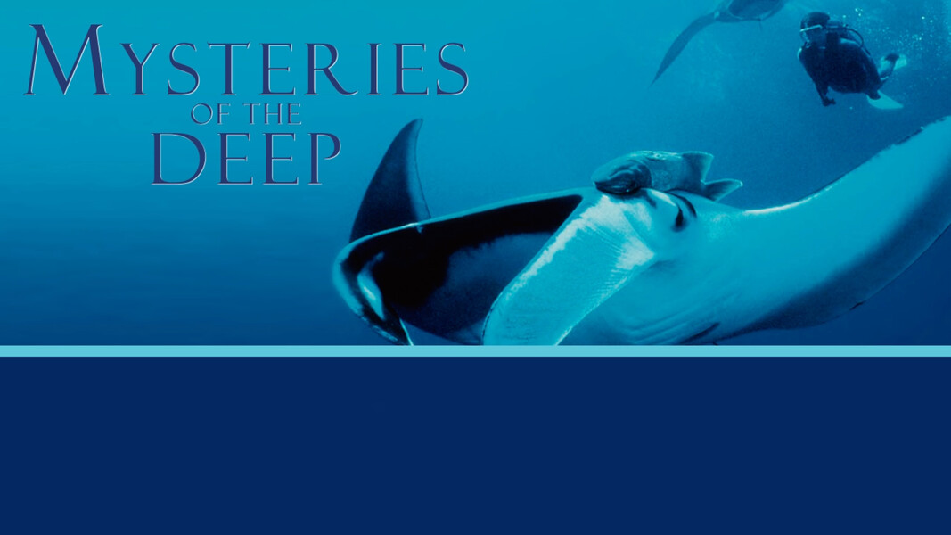 Watch Mysteries Of The Deep online for free | wedotv
