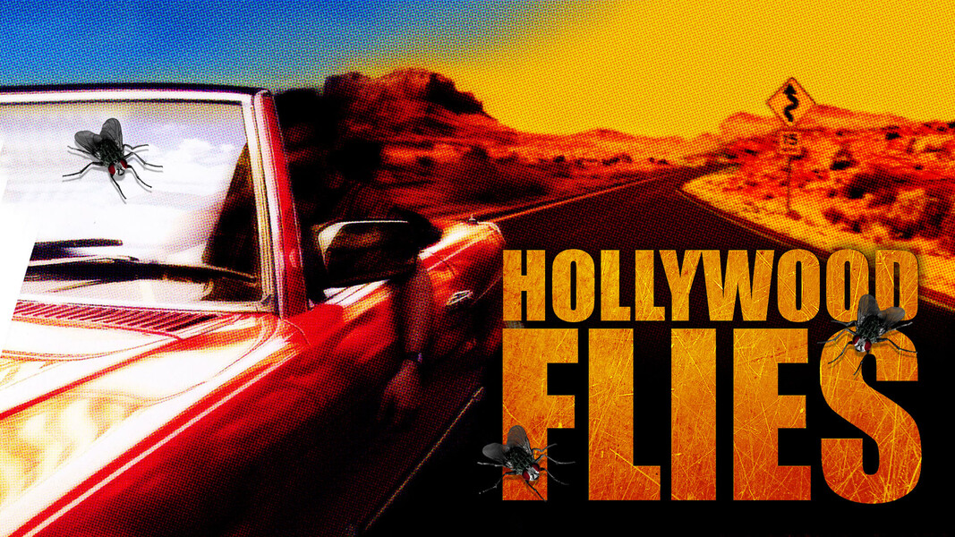 Hollywood Flies