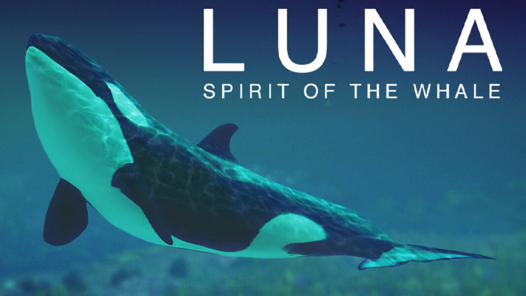 Luna: Spirit of the Whale